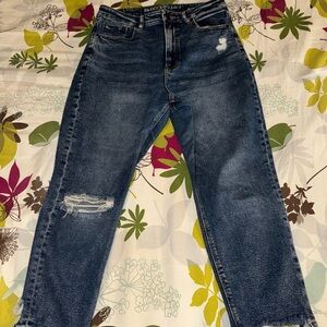 American Eagle Outfitters High Rise Blue Mom Jeans